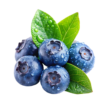 Blueberry
